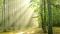 L’illustration d’arbres verts dans la forêt symbolise les avantages écologiques de la pompe à chaleur
